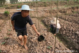 农民的特大好消息 国家已批准,每年秋分设立 中国农民丰收节 