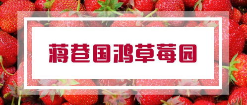 2019年的草莓已上线 南昌周边草莓采摘攻略甜蜜来袭