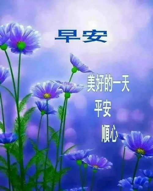 寒冷清晨最美早上好漂亮问候语美图,早安带字带表情的祝福语