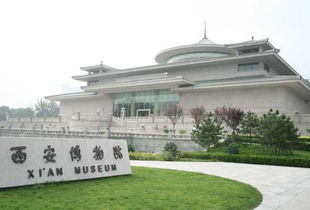 西安博物馆集结令 西安博物院 