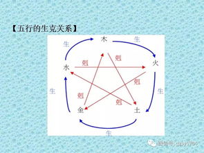 术数基础课程之二 阴阳五行篇 