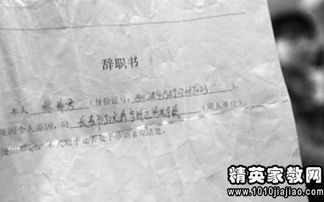 怀孕辞职信怎么写(由于怀孕辞职信怎么写)