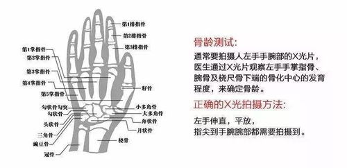 身高是一辈子的事,别让孩子留下遗憾