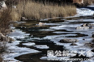 梦见河水结冰又化开是什么意思 梦到河水结冰又化开好不好 大鱼解梦网 