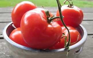 吃番茄的好处有什么 吃番茄的注意事项有什么