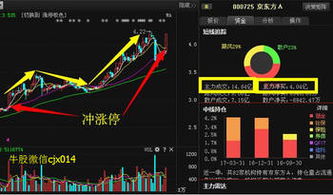 关注京东方能否涨停