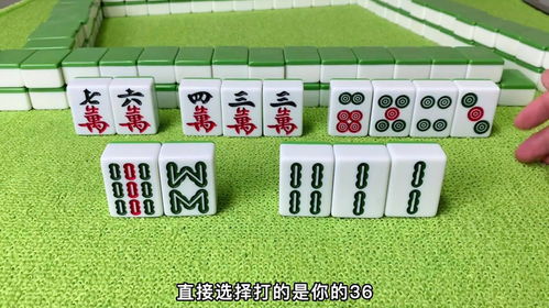 麻将0基础教学(麻将基础教学视频全集下载安装)