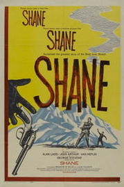 shane – 