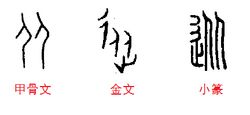 简体字从字甲骨文怎么写 