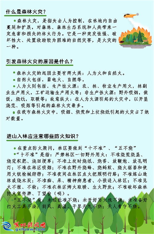 关于森林防火的一些知识