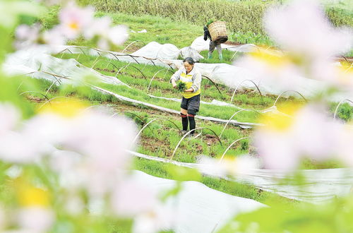 谷雨的时候的美丽景色