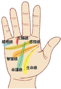 手掌纹有四条线代表什么意思 