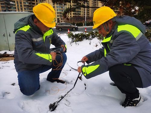 山东春雪食品有限公司第六种鸡场怎么样？