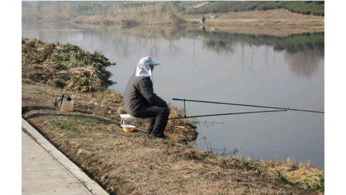 冬季野钓打窝后什么时候能下竿 掌握这个细节,大板鲫一钓一个准