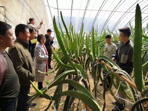县农业农村局组织新型职业农民培训学员外出参观学习