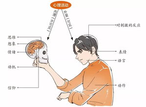 读心 算命 别闹 心理学严肃着呢 