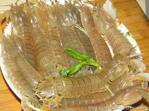 如何挑选鲜活的虾爬子 虾爬子最好吃在什么季节 