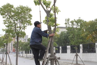 年终策划 6个普通人的城市梦 