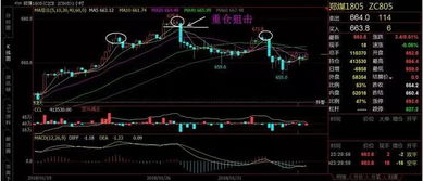 期货白糖涨停价买入怎么晚上交易软件显示亏了600多一手？