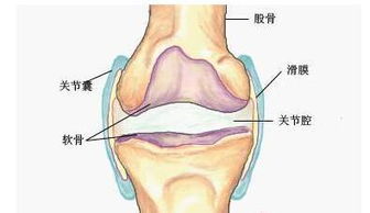 解析膝关节疼痛：热成像检查揭示劳损症状