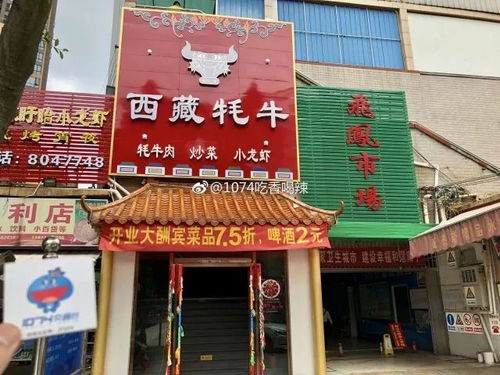 取一个西藏特色店铺的名字