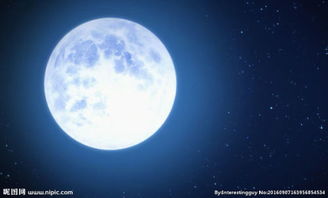 明月星空是什么意思 