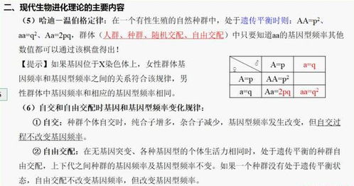 高中生物现代生物进化理论要点有哪些