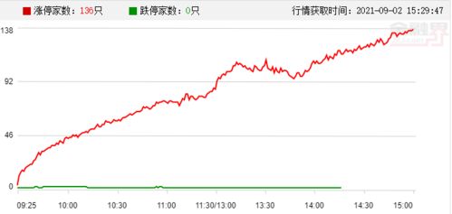 请问沪深证券交易所里那些穿马甲的工作人员坐在那一排排的电脑前做什么？