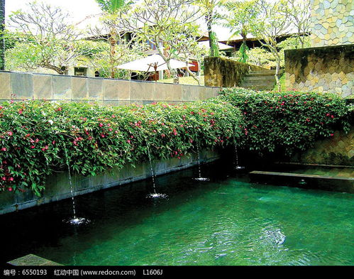 吐水墙水池水景