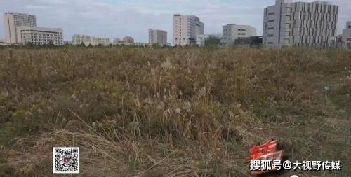 荒郊野地现无名女尸,警方仅凭一件睡衣破案