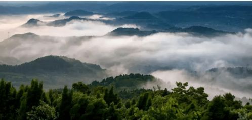 龙泉山免费停车通知范文,龙泉山上能看见东安湖烟花吗？