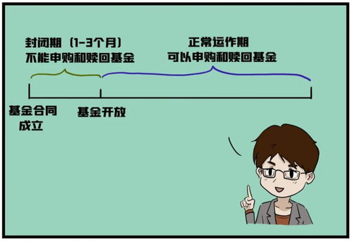 基金的申购和赎回对基金的总份额产生什么影响？