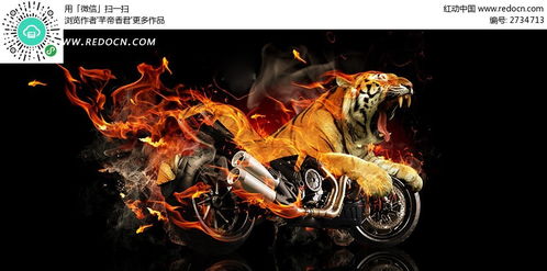 老虎火焰和摩托车淘宝海报背景JPG素材免费下载 编号2734713 红动网 