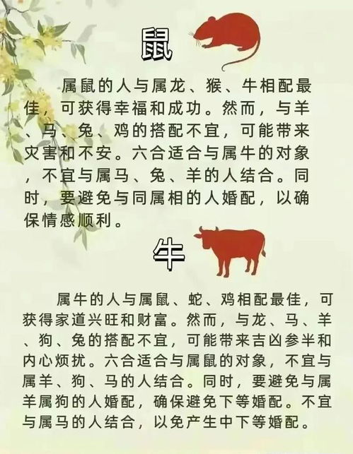 十二属相最佳姻缘搭配 夫妻最不合的属相