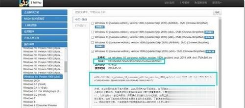 不用u盘如何装win10原版系统