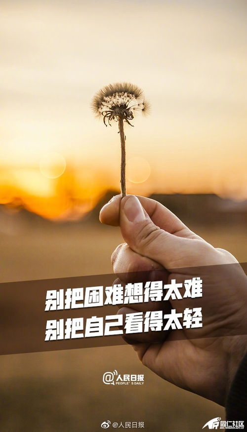 你可以一次次放过自己 但生活不会始终宽容你 