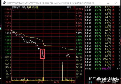 股票抛出去资金到账到哪里？