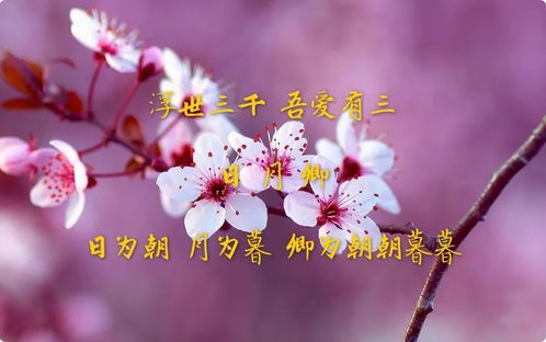 姐妹们,节日快乐