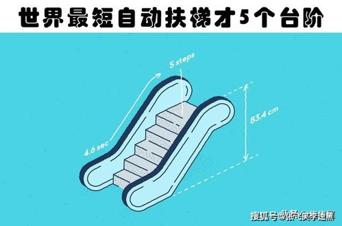 世界最短自动扶梯才5个台阶 盘点世界各地存在的6个有趣冷知识