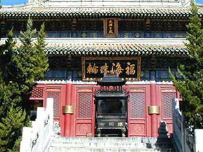 倡导健康饮食习惯 潭柘寺 素食日 活动举行