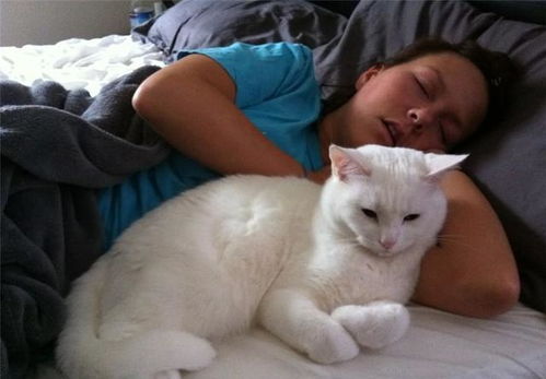 原来猫咪喜欢贴着你睡觉,是因为你有这些特点