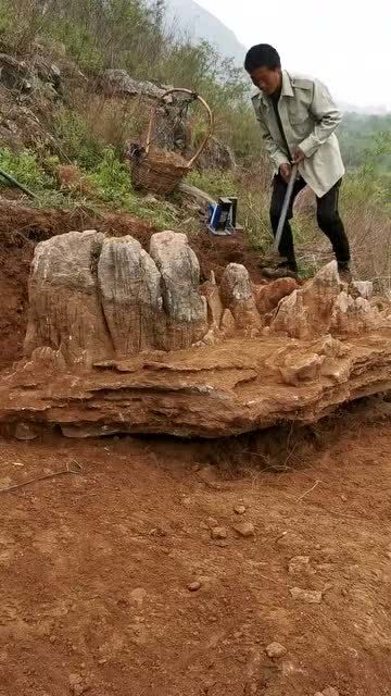 小伙运气太好 竟挖出御花园的假山 这回发财了 