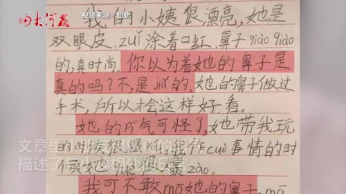 河南一小朋友写作文称小姨鼻子假,结尾爆笑 摸掉了讹我们家钱 