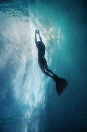 深海的灵动诱惑 水下摄影作品欣赏 