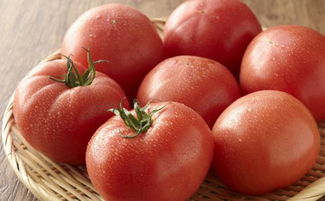 西红柿怎么算是发酵能养花