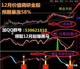 2010年12月份会上涨的股票有哪些，热门股票有哪些？