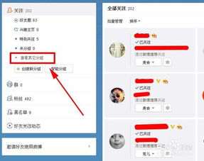 微博中的关注分组有哪些常见问题需要注意？