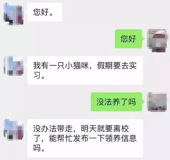 致新生 请不要在学校养猫