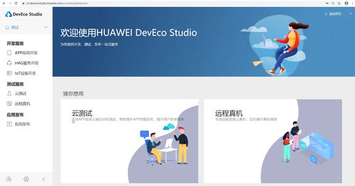 HarmonyOS云测平台,快速定位问题,HUAWEI DevEco Studio云端服务平台提供云测试