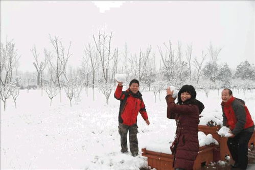 雪天会受到什么影响